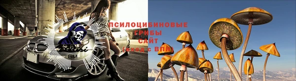 бошки Беломорск
