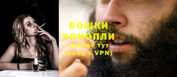 Альфа ПВП Белокуриха