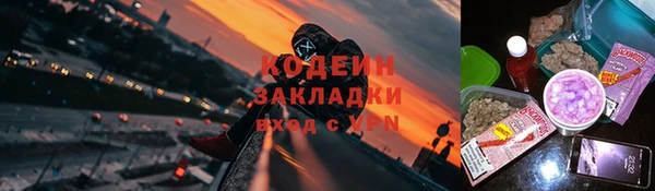 Альфа ПВП Белокуриха