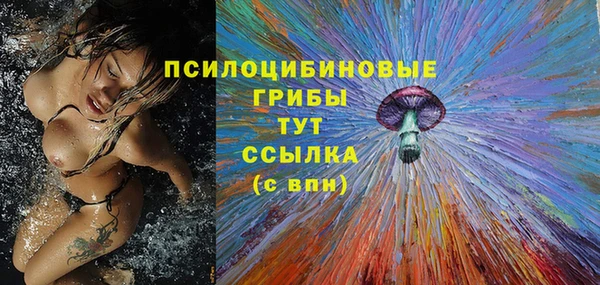 Альфа ПВП Белокуриха