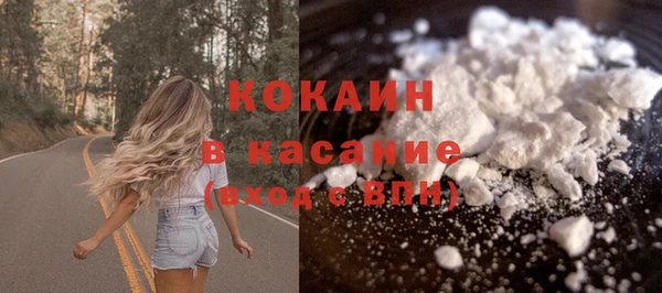 твердый Богородицк